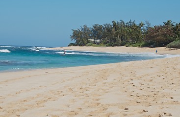 Image showing surfer bay Hawaii