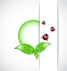 Image showing ecological background with bubble, green leaves, ladybugs