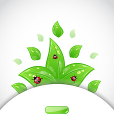 Image showing business brochure template with green leaves and ladybugs