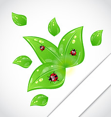 Image showing Leaves with ladybugs sticking out of the cut paper