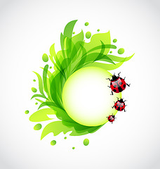 Image showing Eco floral transparent background with ladybugs