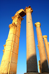 Image showing Relics of Palmyra in Syria