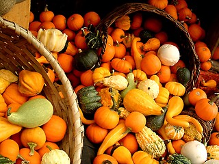 Image showing Gourds