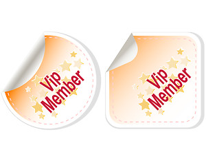 Image showing Vip Member vector Button Label set