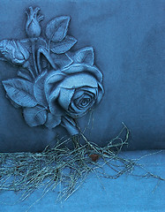 Image showing Gravestone Rose