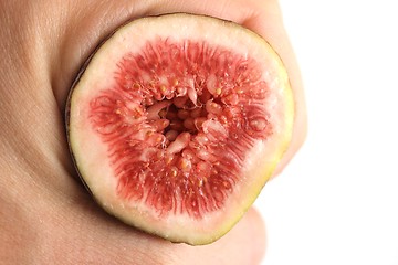 Image showing fig fruit hand