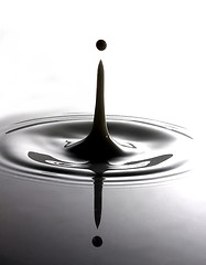 Image showing milk drop