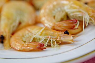 Image showing shrimps