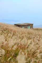 Image showing old stone house with grass on the mountain 