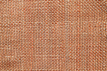 Image showing Bamboo texture 