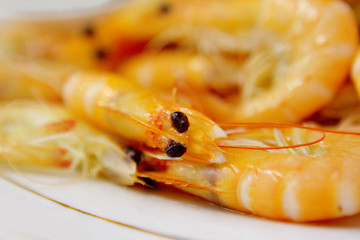 Image showing shrimps