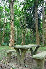 Image showing Picnic place in forest