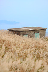 Image showing old stone house with grass on the mountain 