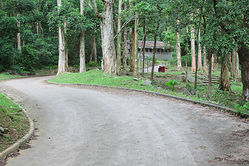 Image showing car road in forest