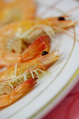 Image showing shrimps