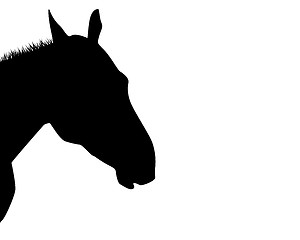 Image showing A silhouette of a horse head