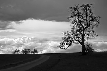 Image showing sky with dark clouds