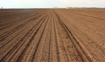 Image showing Cultivated soil