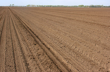 Image showing Cultivated soil