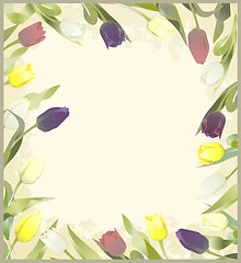 Image showing Greeting card with tulips. Colorful fresh spring tulips.