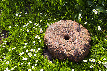 Image showing ancient millstone on grass lawn and daisy flowers 