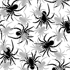 Image showing spiders pattern
