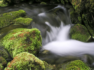 Image showing Mountain Stream