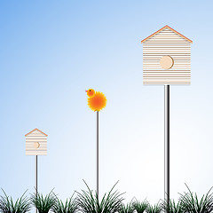 Image showing bird houses