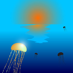 Image showing jellyfish sunset