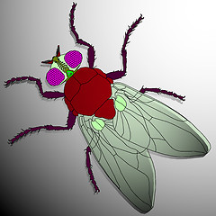 Image showing fly cartoon