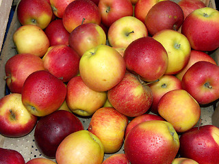 Image showing Red apples close up