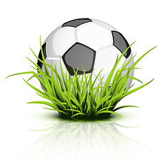 Image showing Soccer ball on reflecting grass