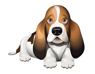 Image showing Basset Hound puppy