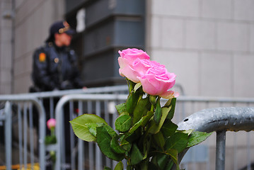 Image showing Rose at Oslo Courthouse