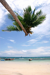 Image showing Tropical Beach