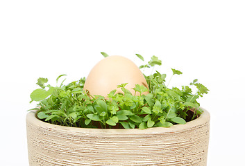 Image showing Spring vegetable with egg in ceramic pot