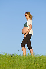 Image showing pregnant woman on meadow