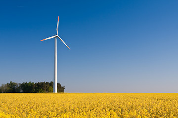 Image showing windmill  farm in the rape field