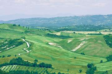 Image showing Typical Tuscan landscape