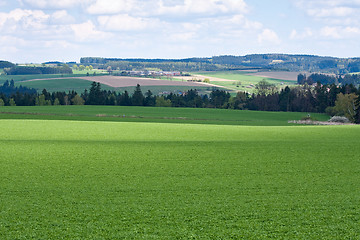 Image showing green field