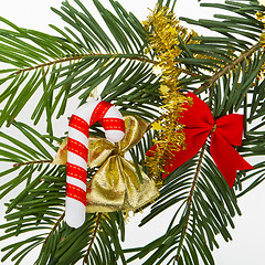 Image showing Christmas branch 