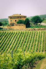 Image showing Typical Tuscan landscape