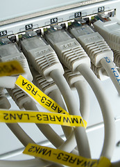 Image showing network cables