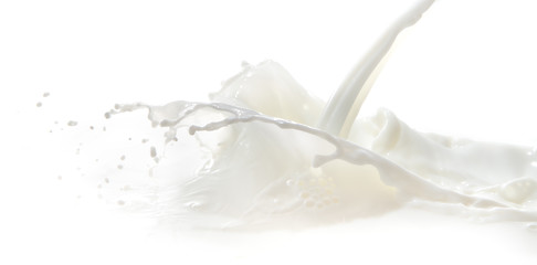 Image showing milk splash