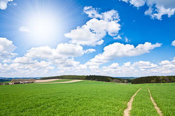 Image showing green field