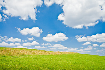 Image showing agriculture landscape