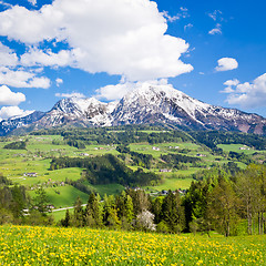 Image showing alpine landscape