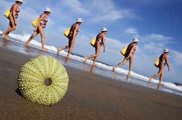 Image showing Beach Walker