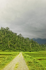 Image showing Dusty Road