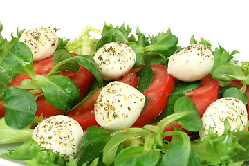 Image showing Mozzarella, tomato salad